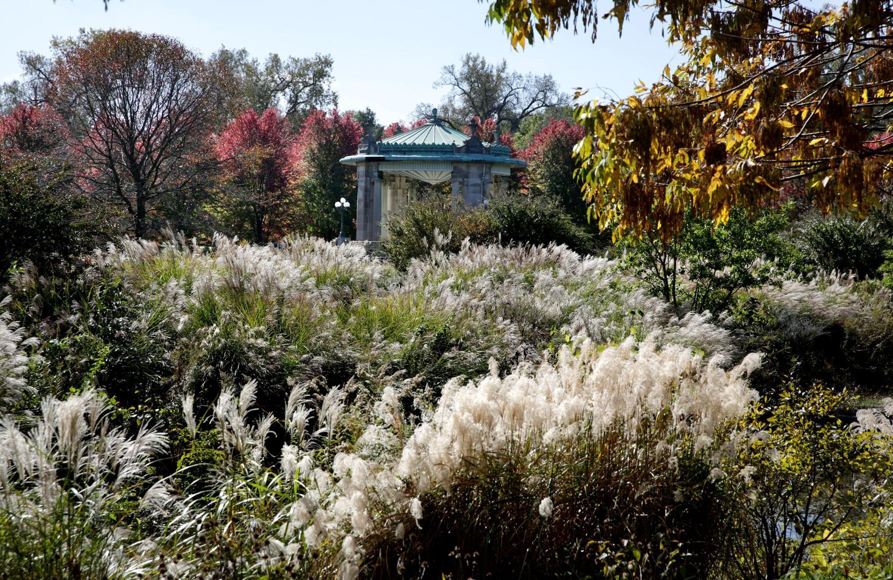 Fall color